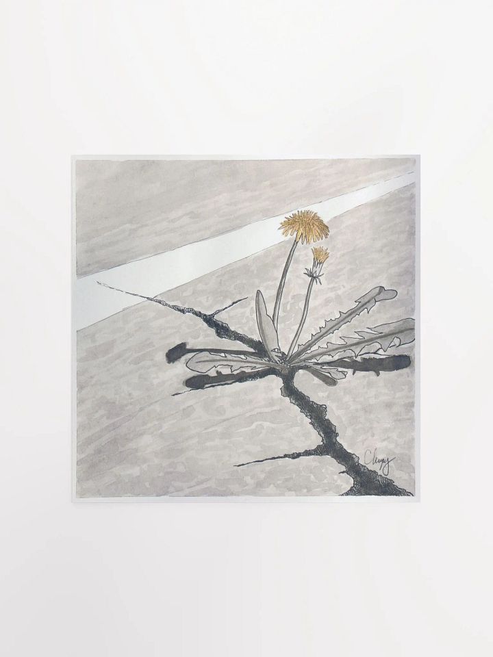 Dandelion Print product image (1)