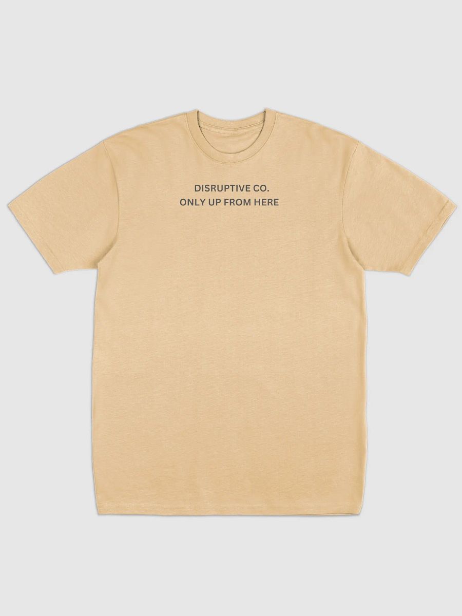 NEVER COMING DOWN product image (22)
