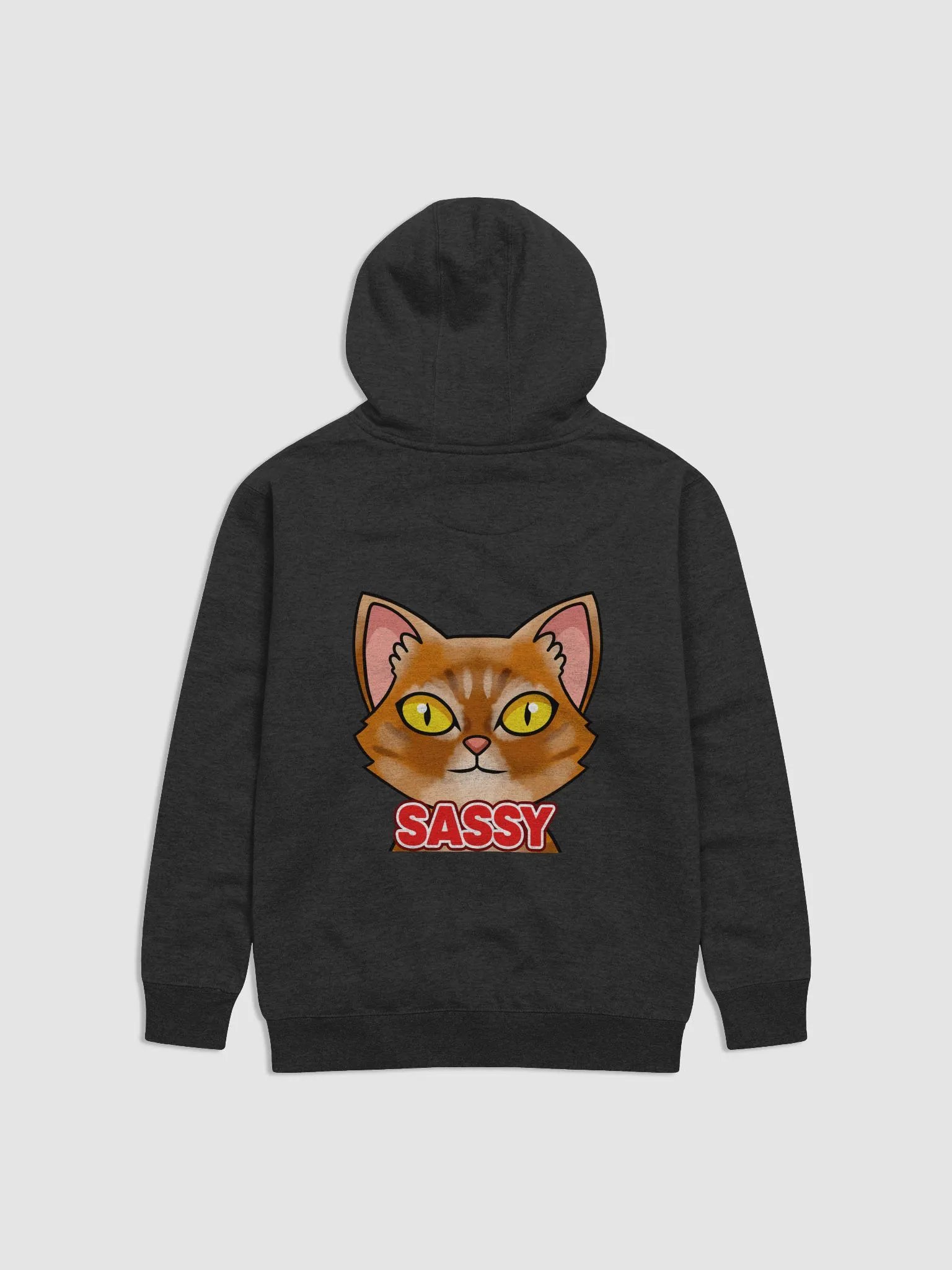 SASSY Pullover Hoodie product image (1)