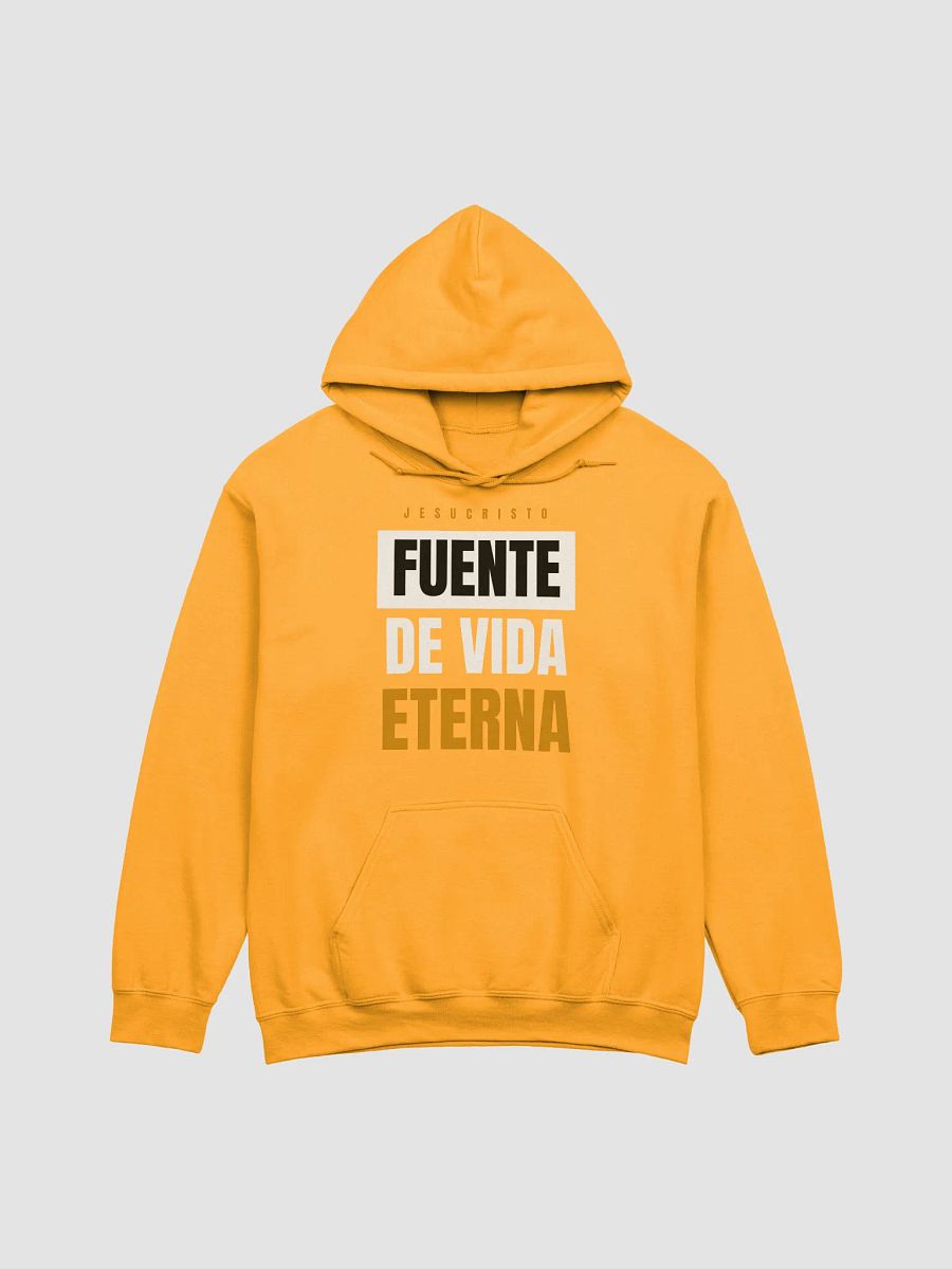 Sudadera Unisex Con Capucha | Fuente de vida eterna product image (1)