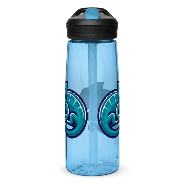 Chill Chameleon Key Encounter Water Bottle product image (12)