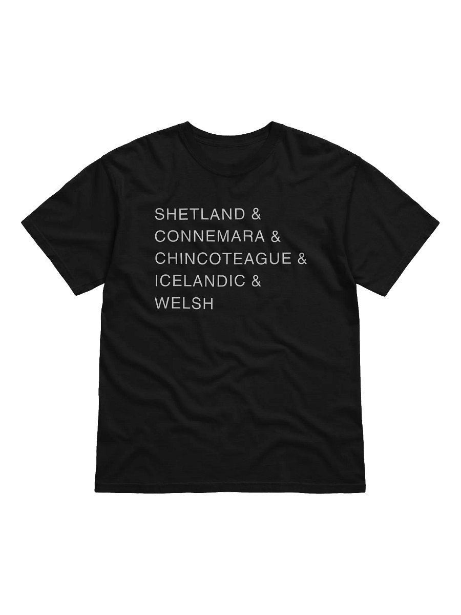 Favorite Pony Breeds Tee product image (2)