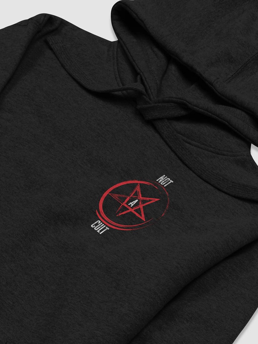 Definitely Not a Cult Hoodie product image (3)