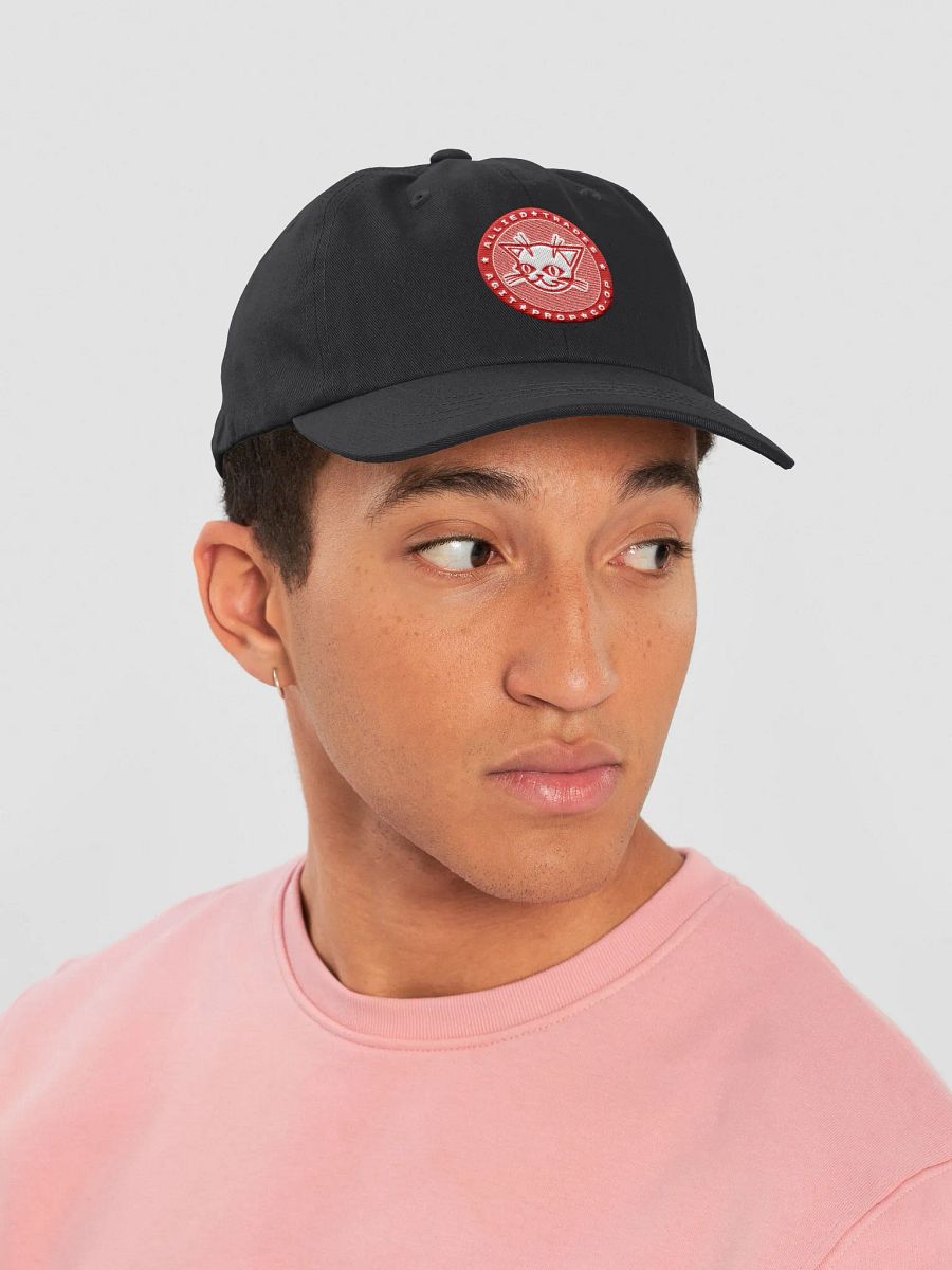 Ally Cat Dad Cap product image (6)