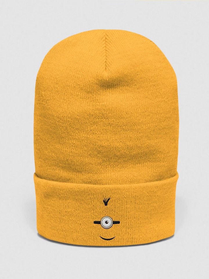 Limited Edition Cuffed Beanie product image (1)