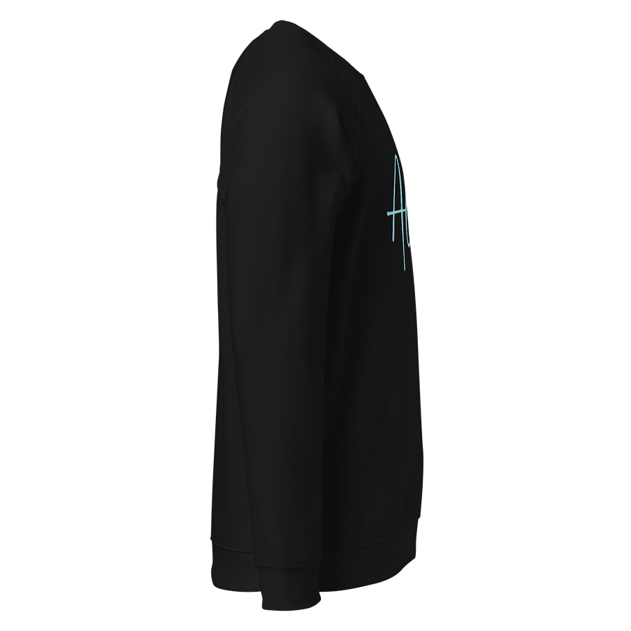 Aleah Black Sweatshirt product image (4)