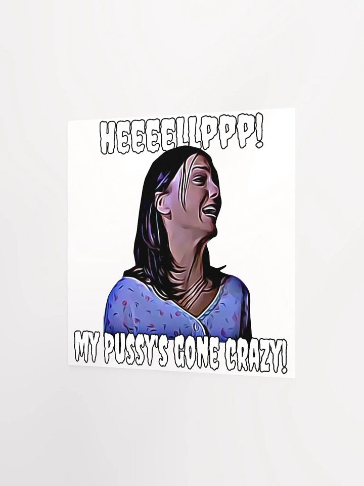 Help! my pussy's gone crazy! Enhanced Matte Paper Poster product image (2)