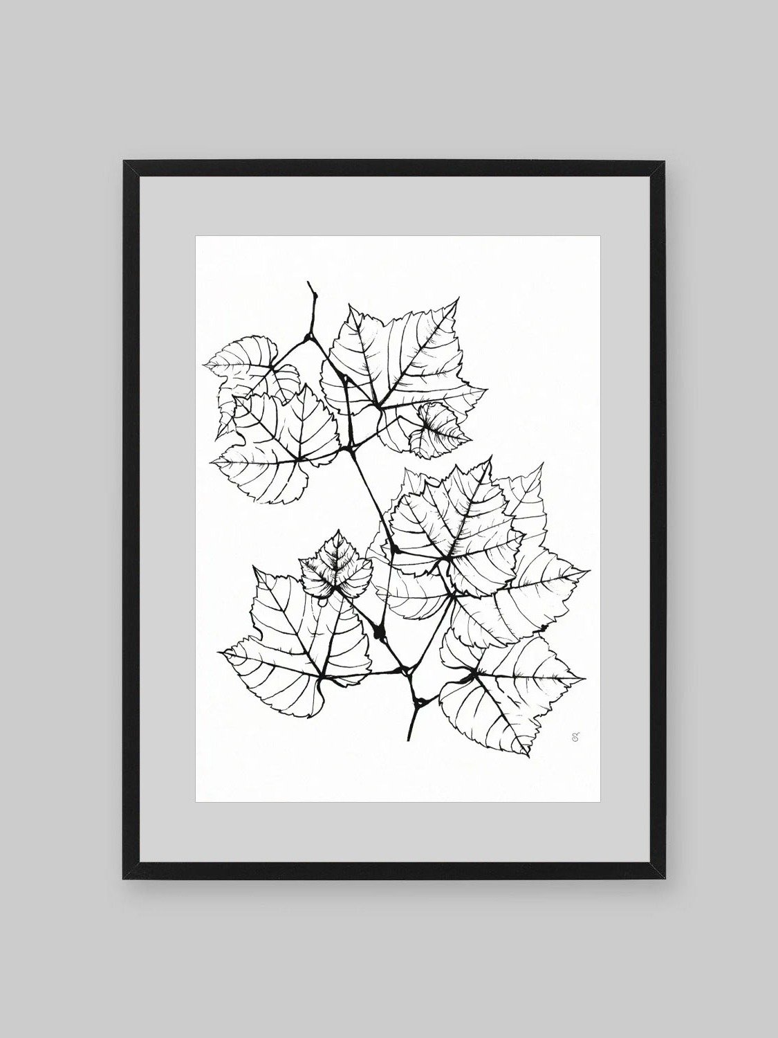 Veined Botanical Branch Matte Poster - Grape Leaves Elegant product image (9)