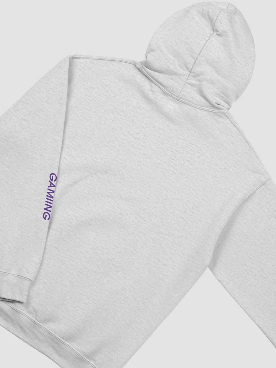 "Clean logo" SOUPSANDWICH Classic Hoodie product image (4)