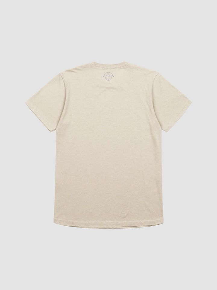 Charleston Pirates T-Shirt by Next Level product image (5)