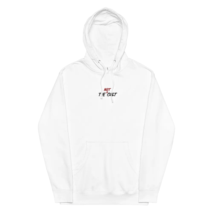 Not-Cult Embroidered Hoodie (LIGHT) product image (6)