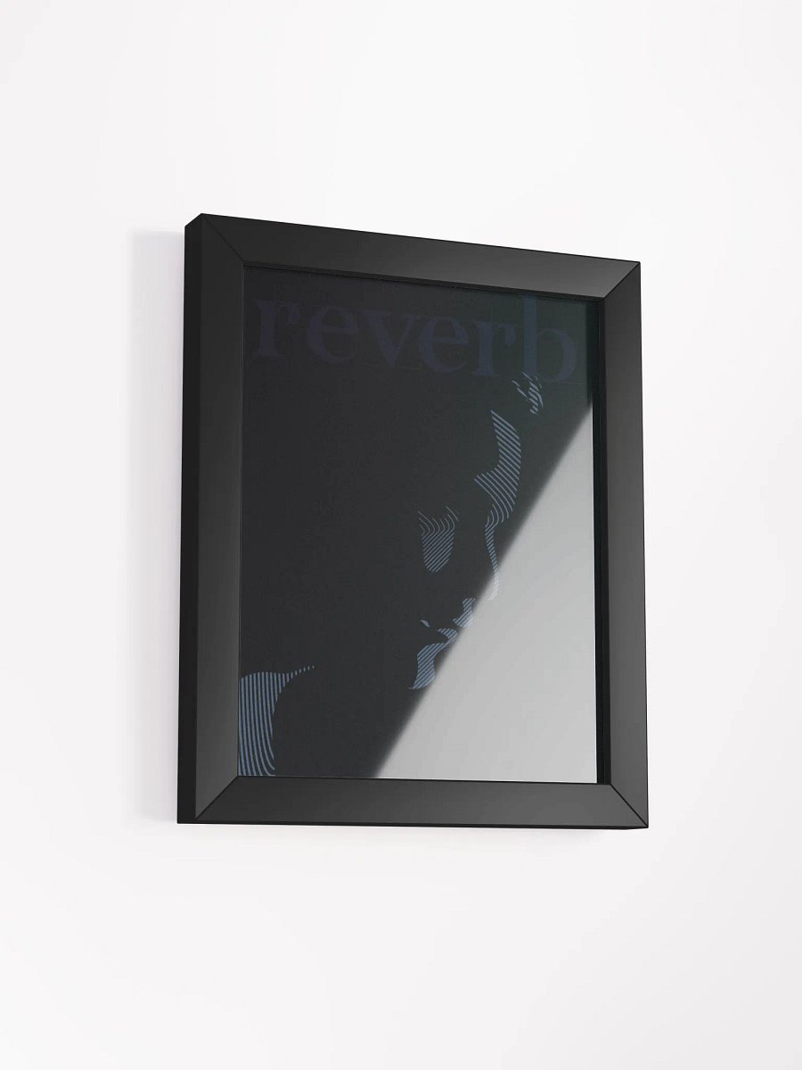 reverb product image (3)