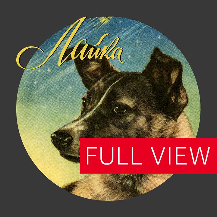 Laika, First space dog, Soviet vintage space — Unisex t-shirt, space t-shirt product image (2)