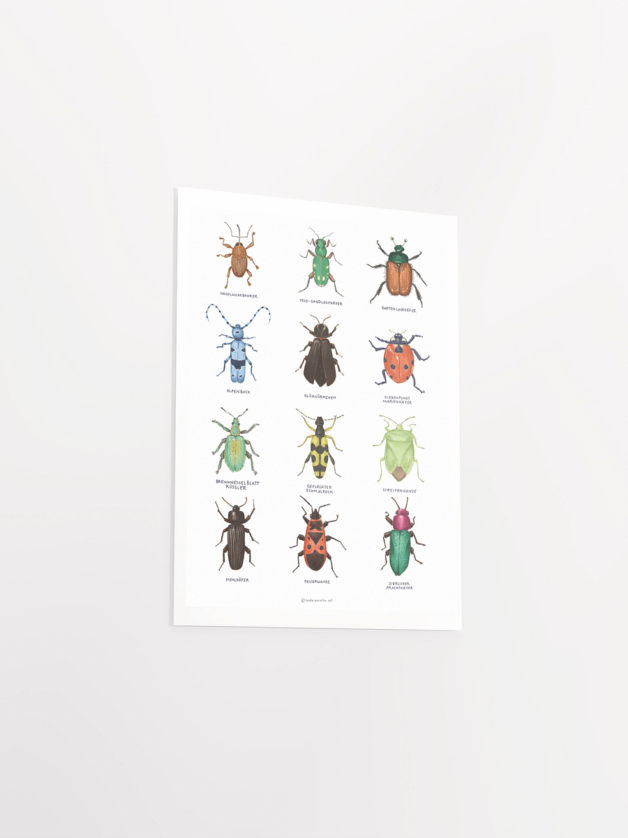 Insects product image (6)