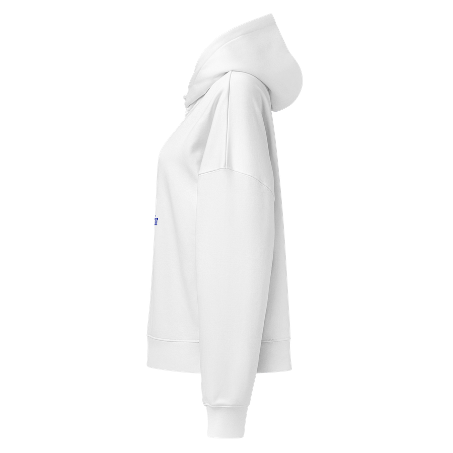 Quill Warrior Organic Hoodie product image (5)