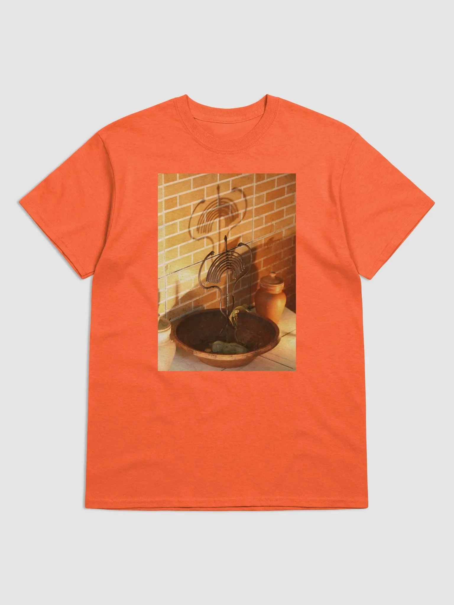 Oxumaré é transformação product image (6)