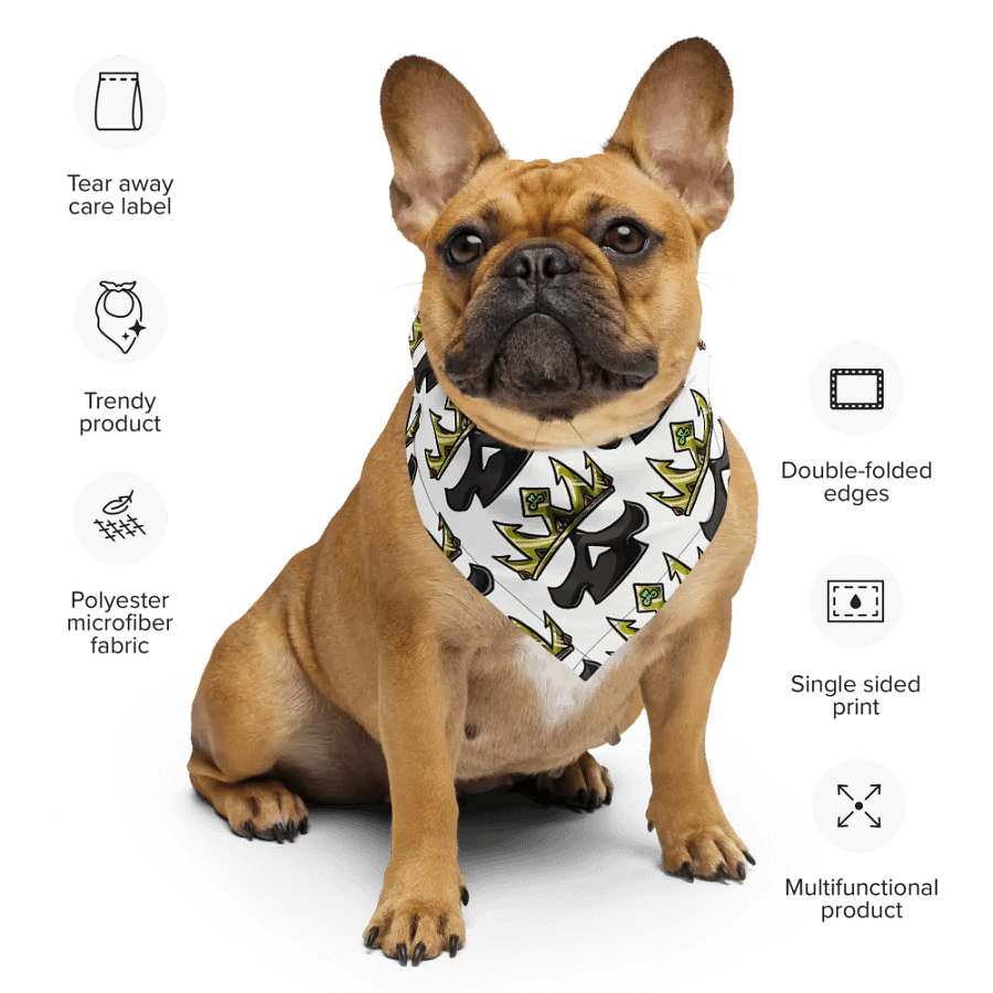 skull bandanna product image (8)