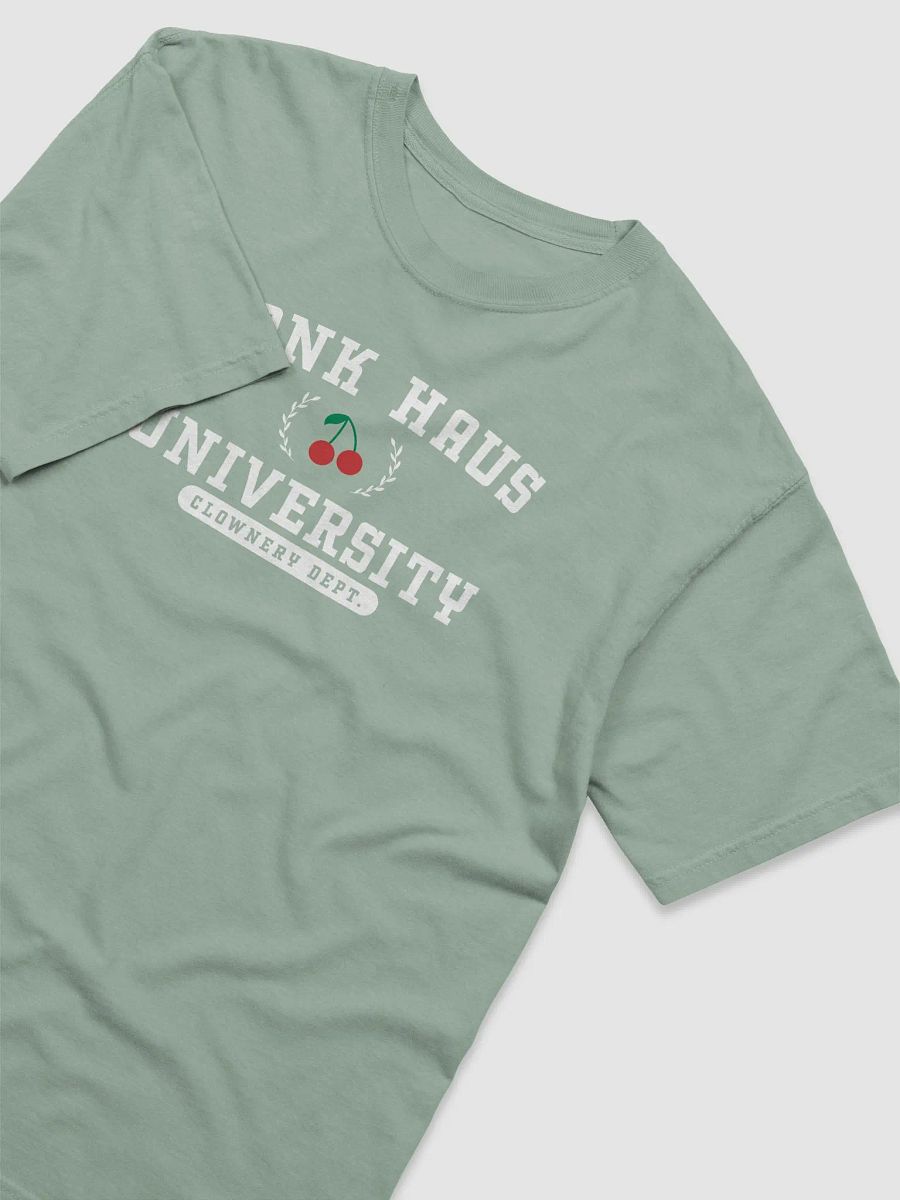 honk haus university printed shirt product image (15)