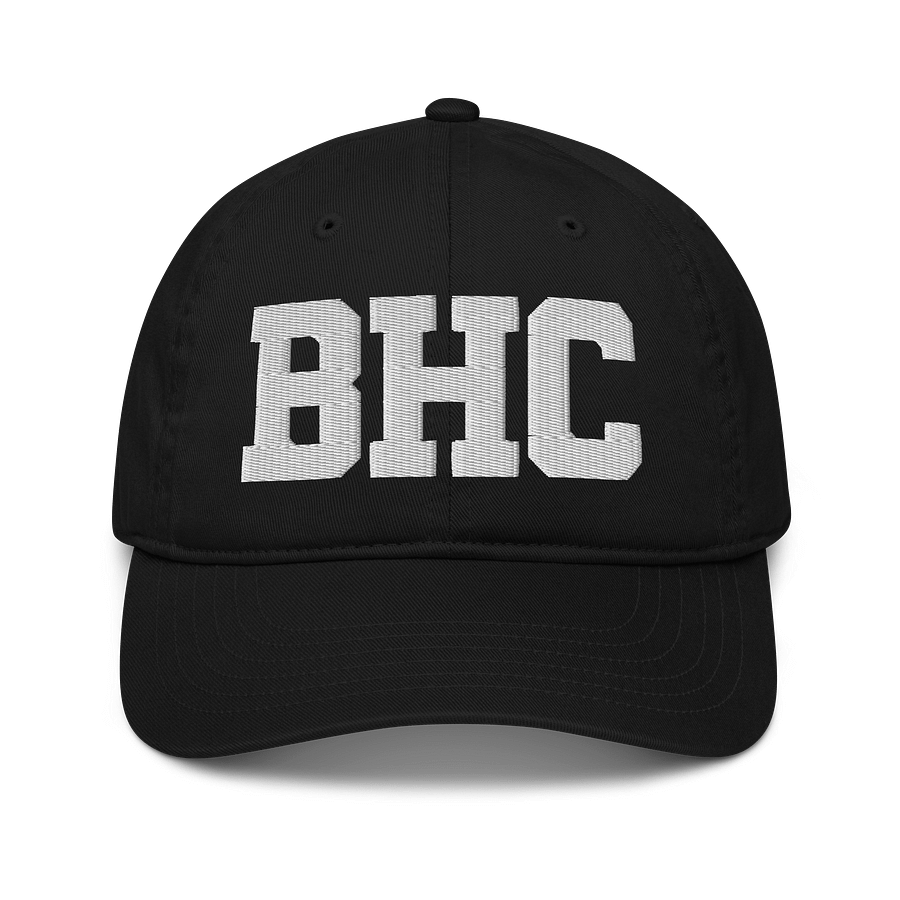 BHC Organic Dad Hat by Econscious product image (1)