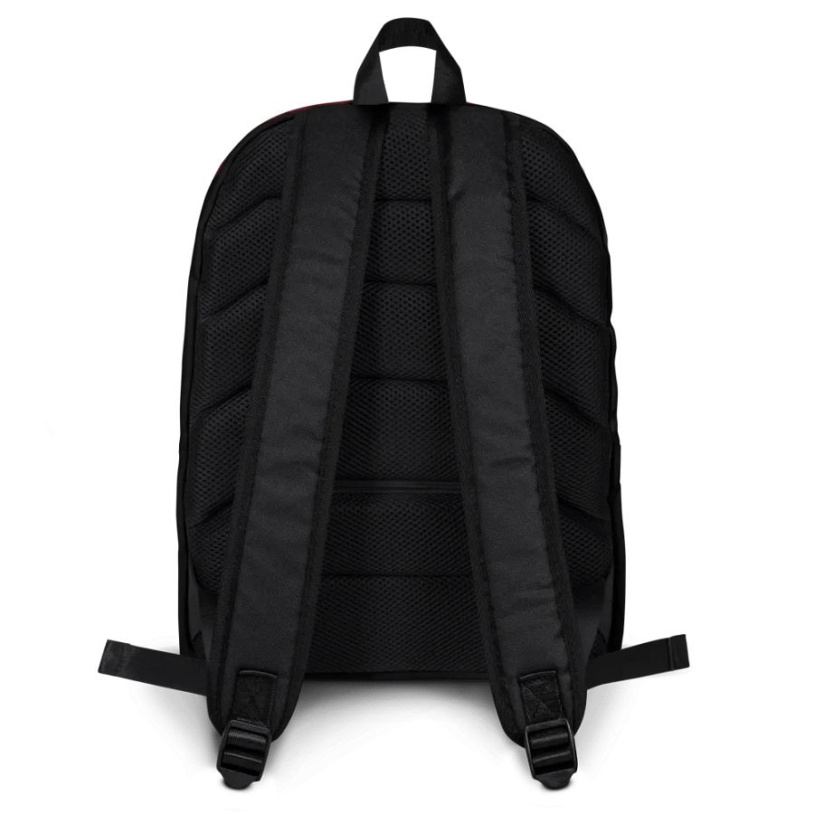 DC Batman Arkham Origins backpack by Twisted DarkLight. product image (4)
