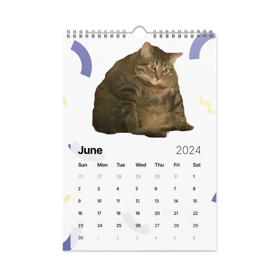 Wall Calendar (2024): Meme Cats product image (12)