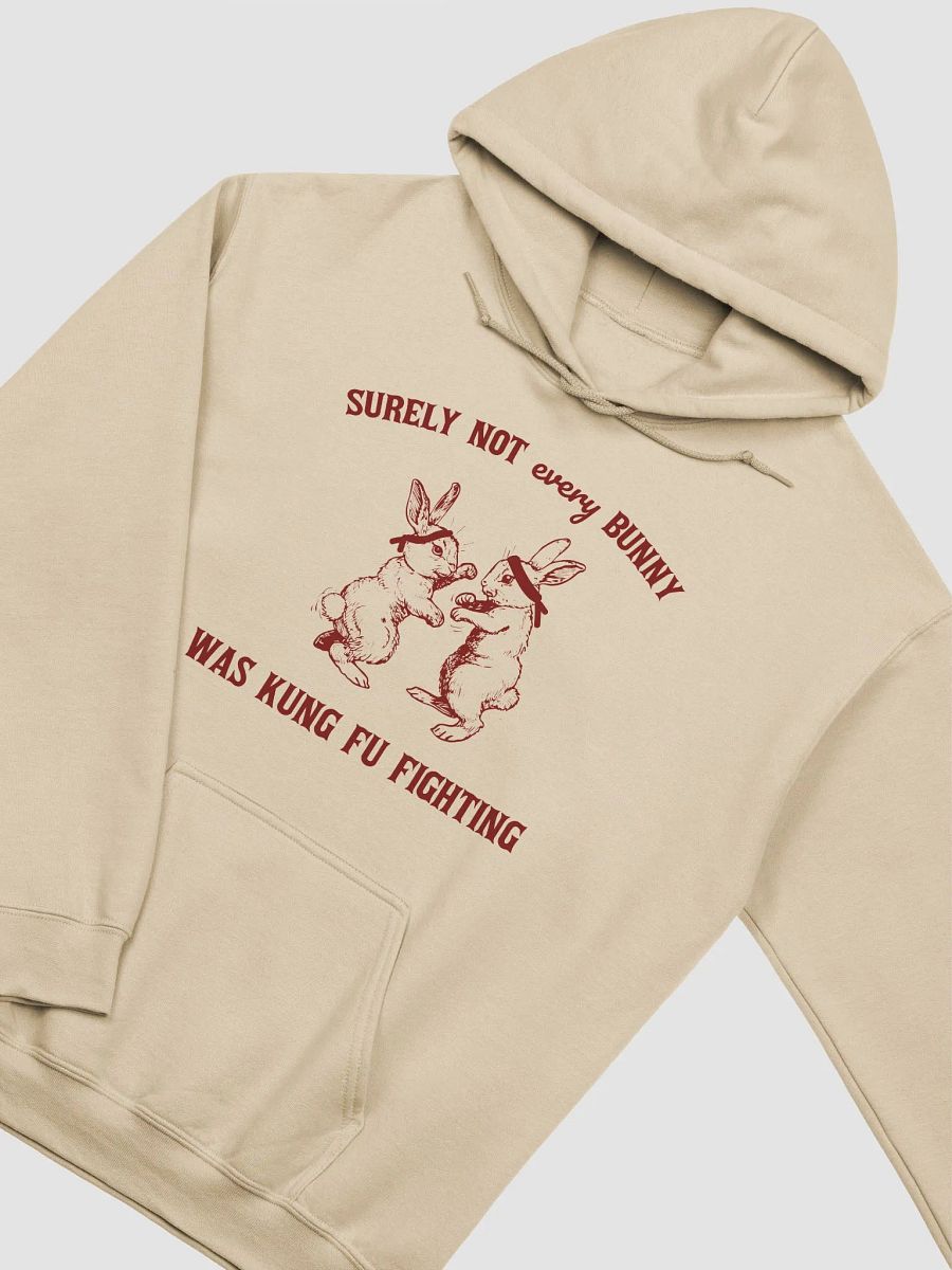 Surely not every bunny was kung fu fighting Hoodie product image (3)