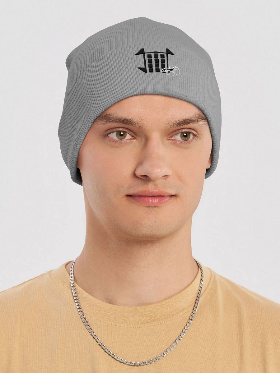 Generation Loss Ethan Beanie product image (6)