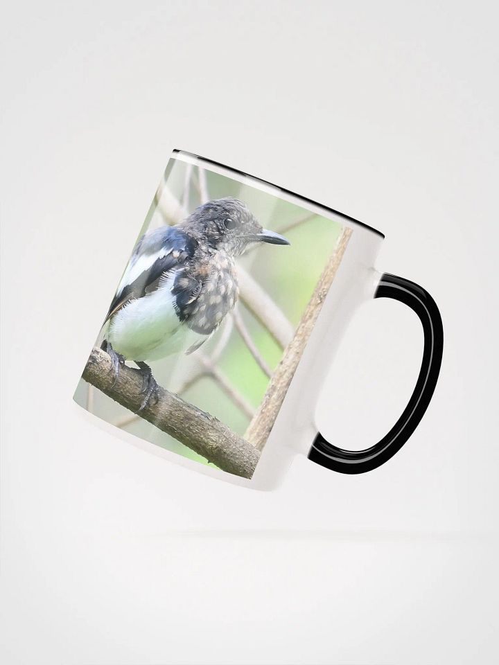 IUCAA Birds: Ceramic Mug with Color Inside product image (2)
