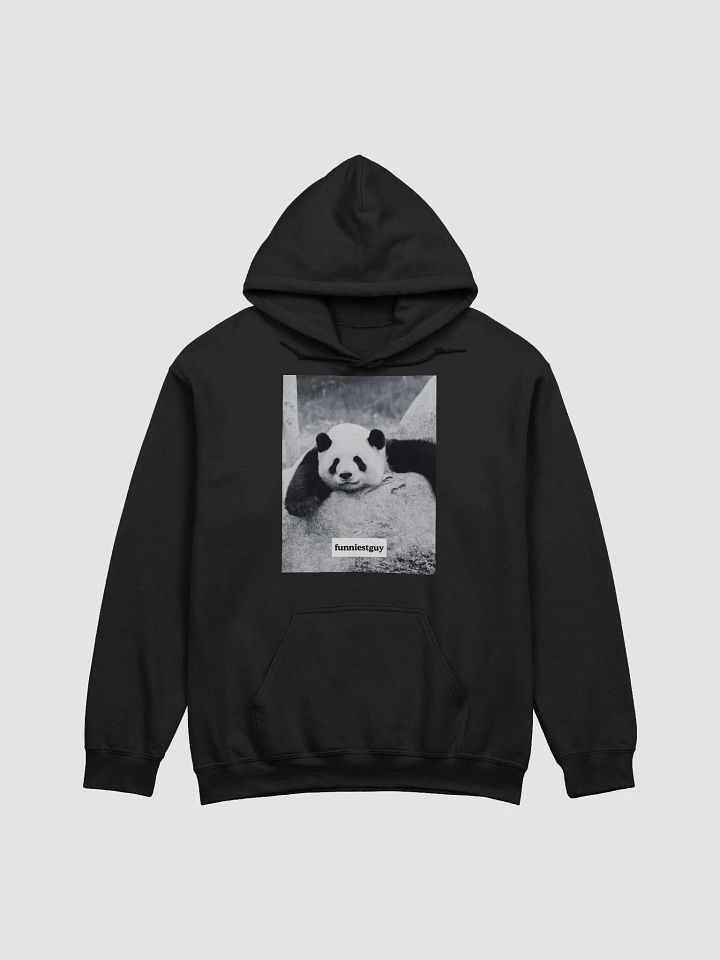 panda hoodie product image (1)