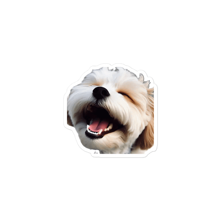Laughing Magnet product image (1)