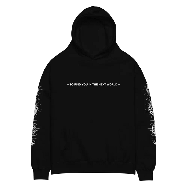 ⊹ TO FIND YOU IN THE NEXT WORLD ⊹ - HOODIE product image (1)
