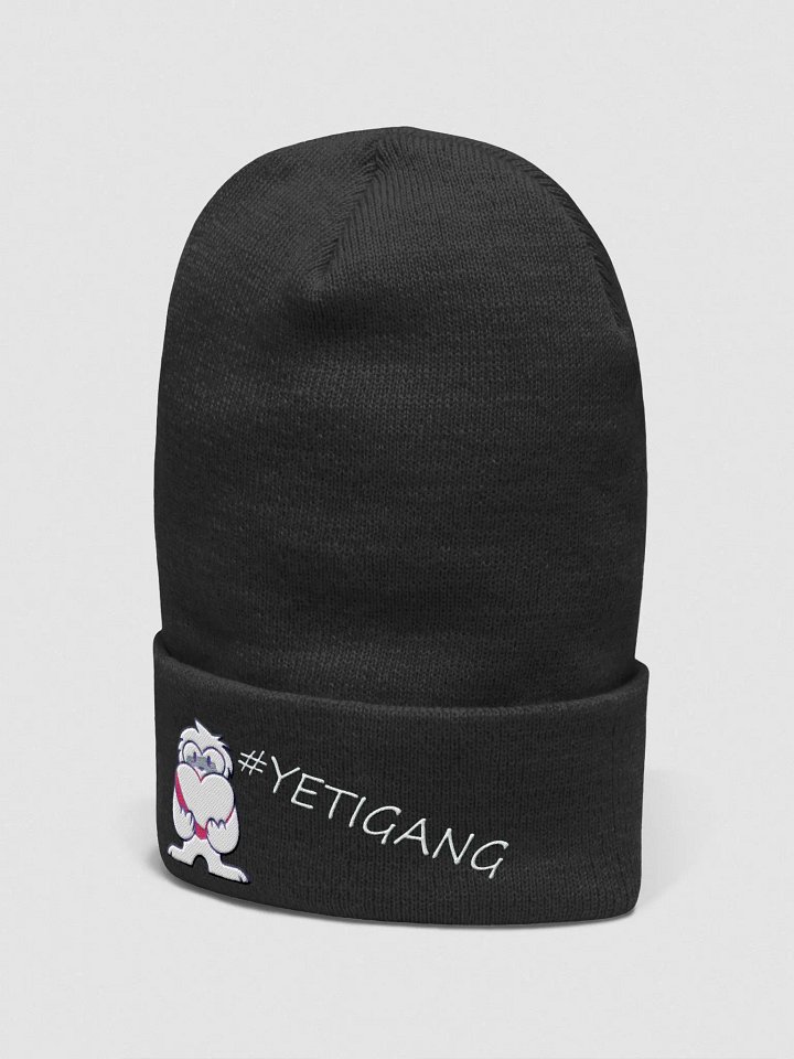 YETIGANG BEANIE product image (2)