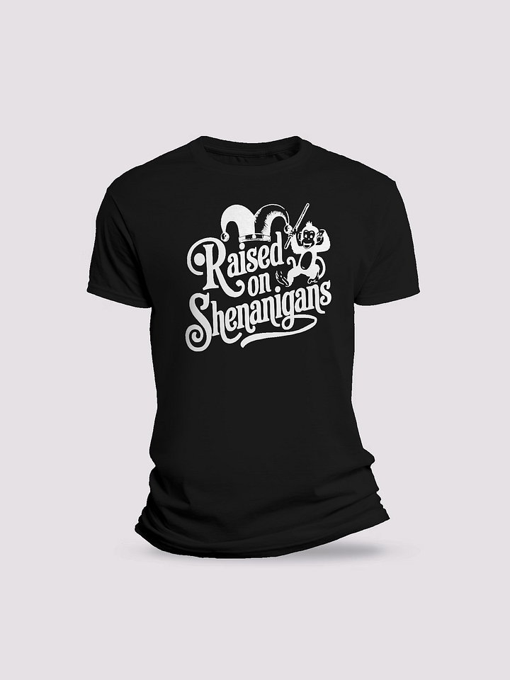 Raised on Shenanigans T-shirt product image (1)