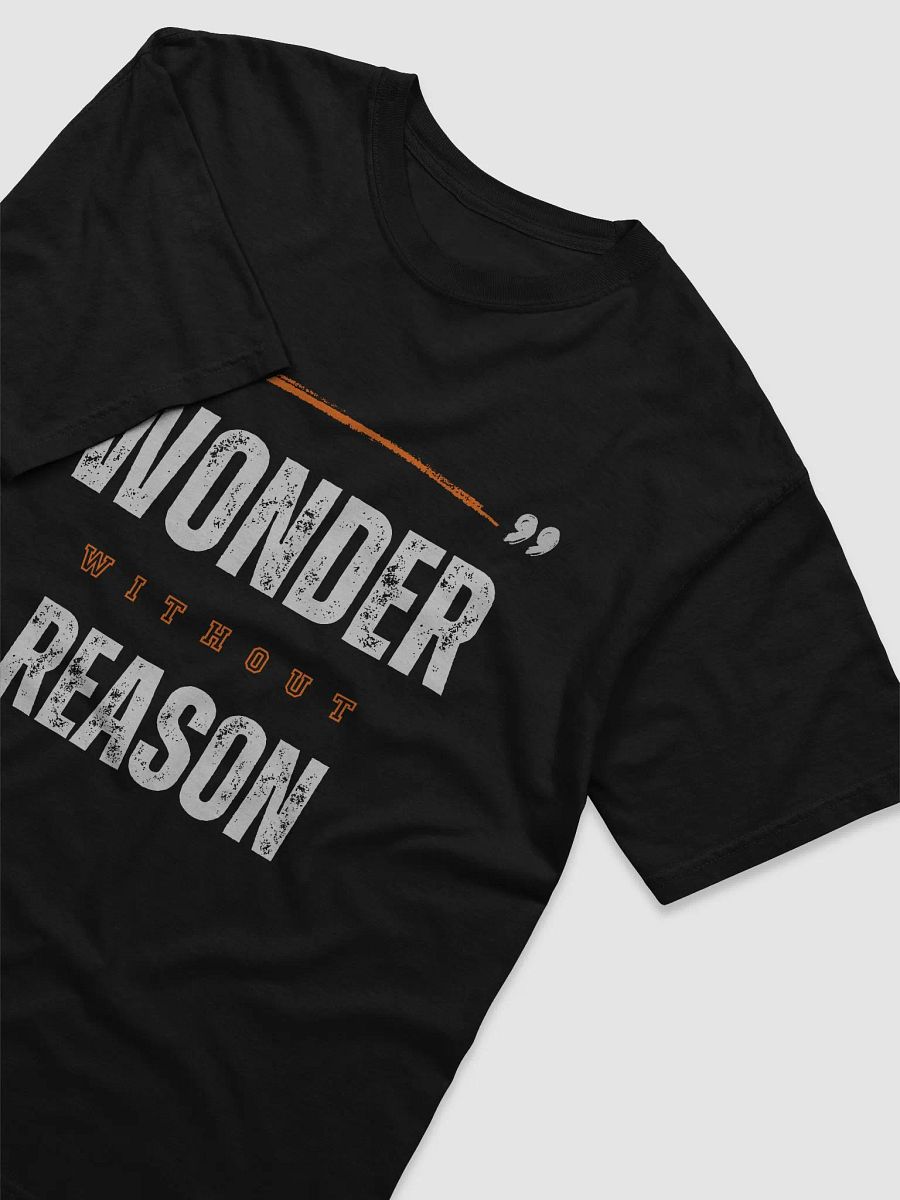 Wonder Reason Distressed Tee product image (3)