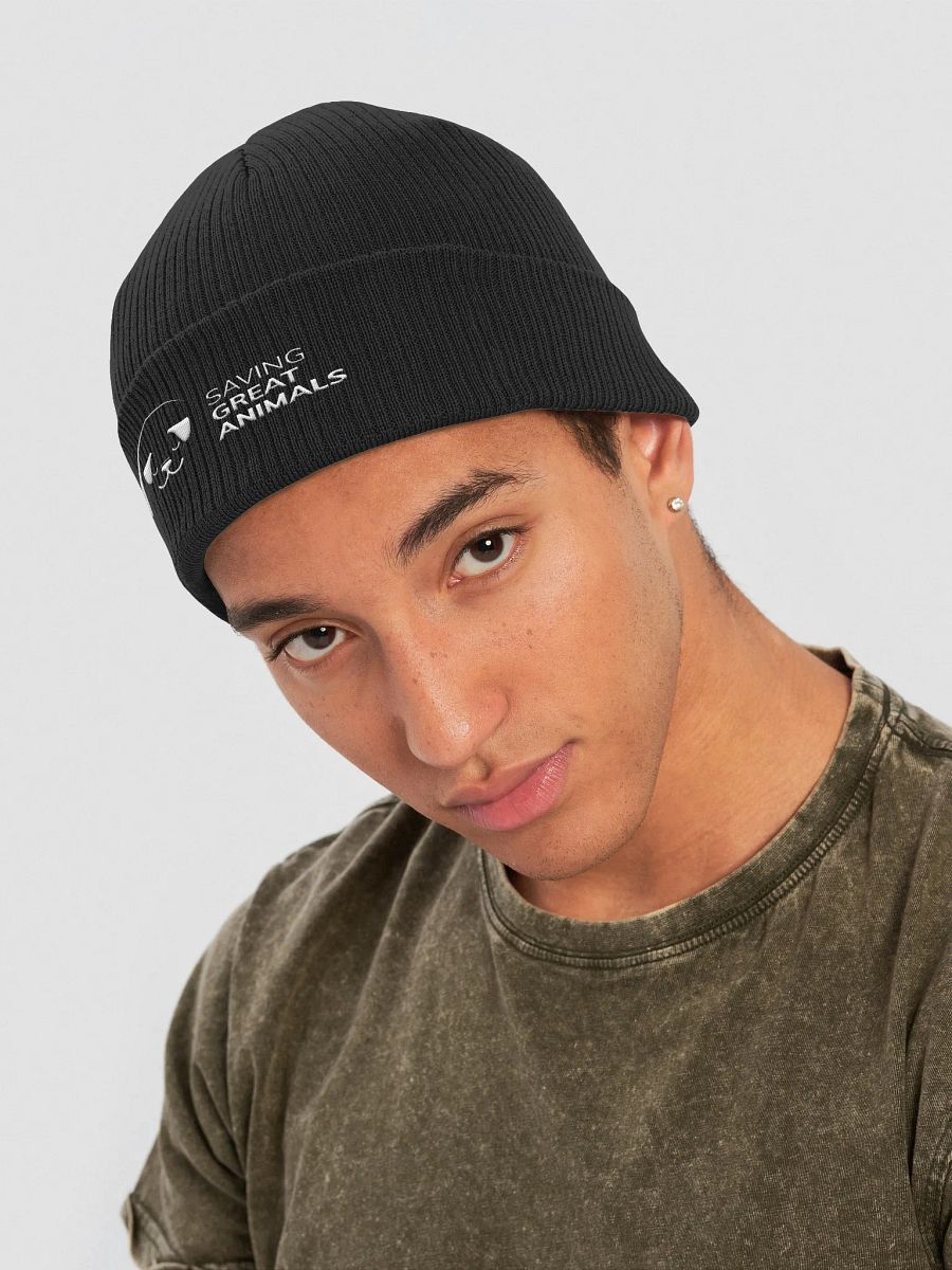 SGA Logo Beanie product image (4)