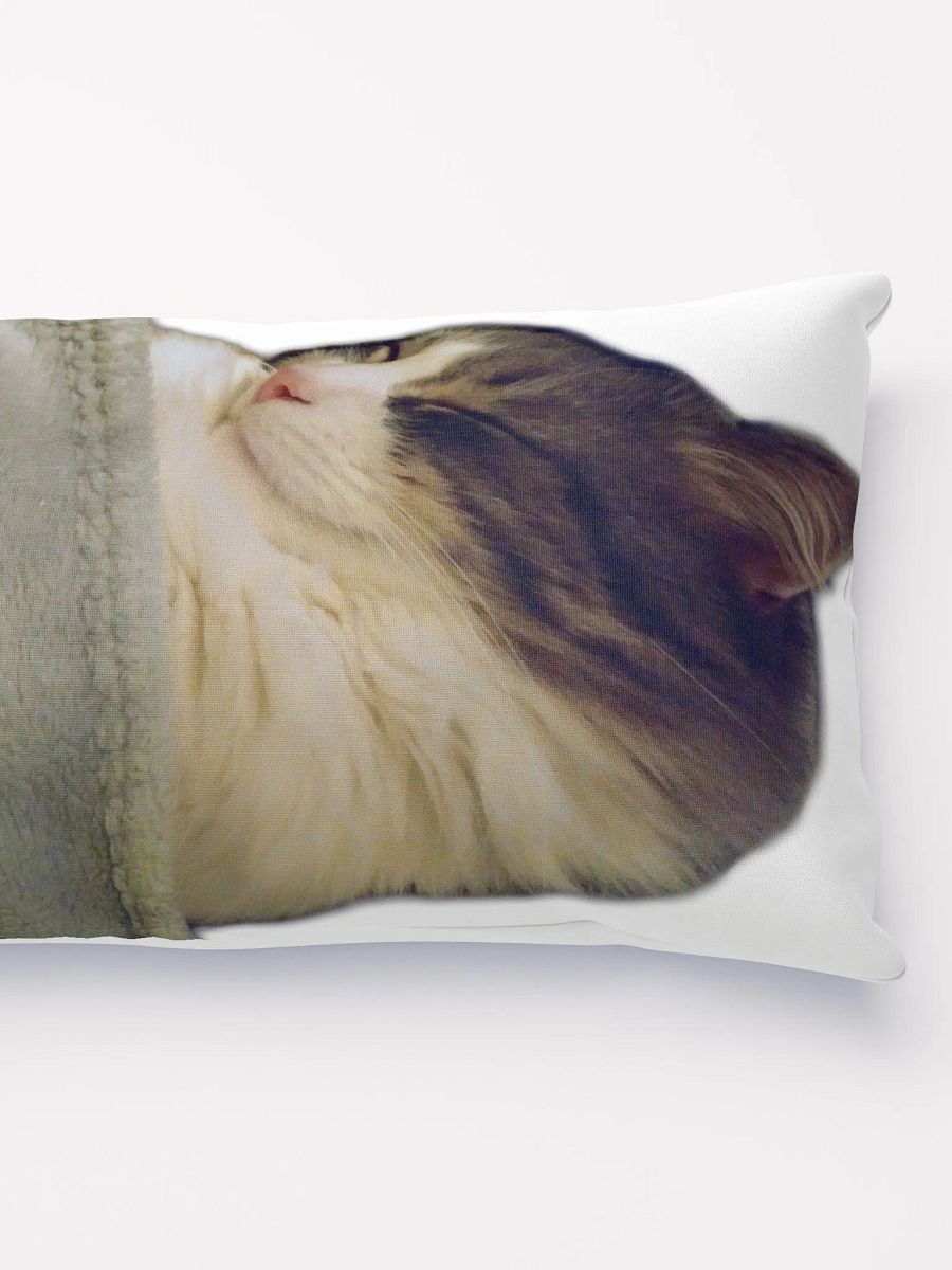 Smokey & Zoey Sleepy Pillow product image (2)