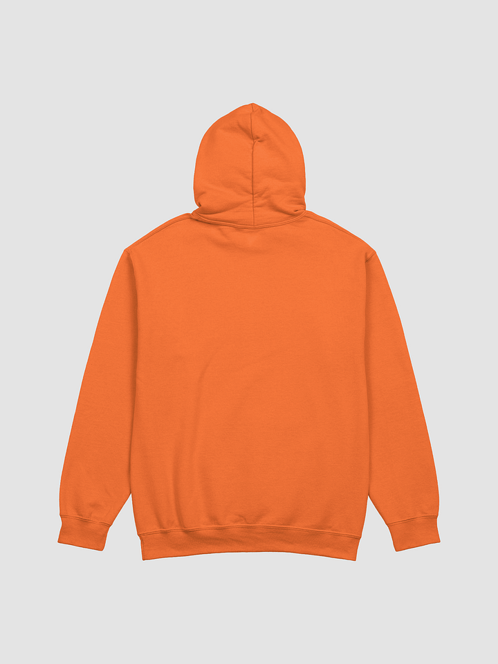 BUIII Limitless Vibes Hoodie product image (8)