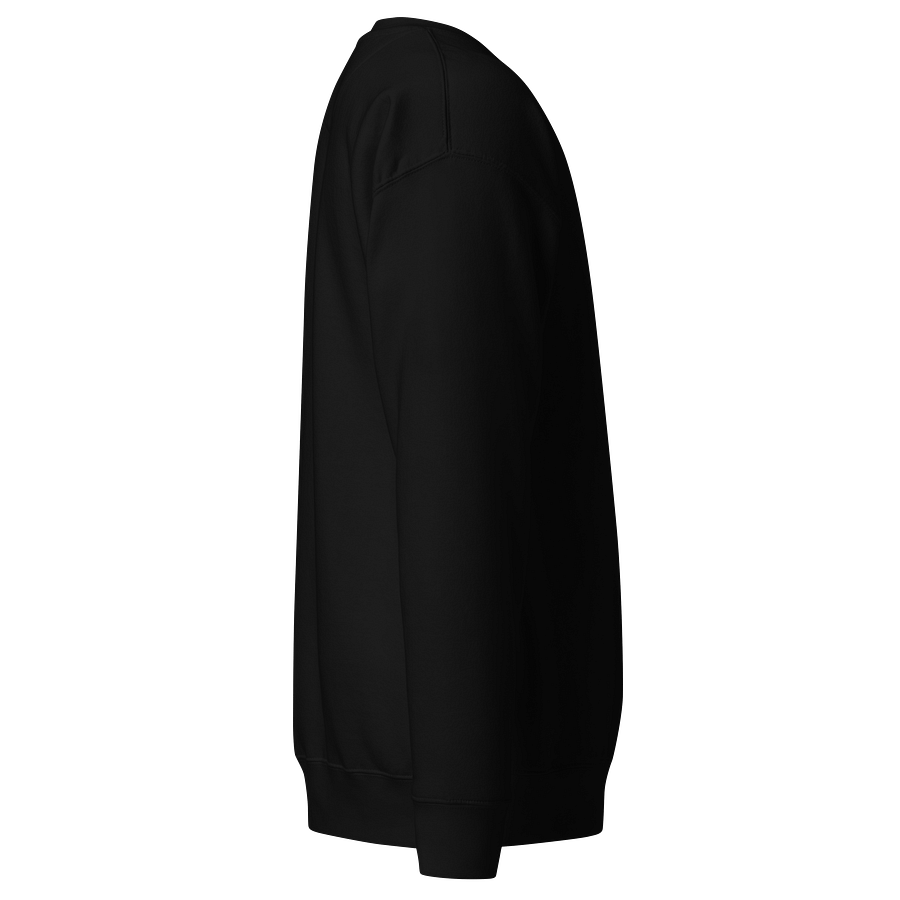 Ehre dem Vögelchen - Sweatshirt mit weißem Design product image (4)