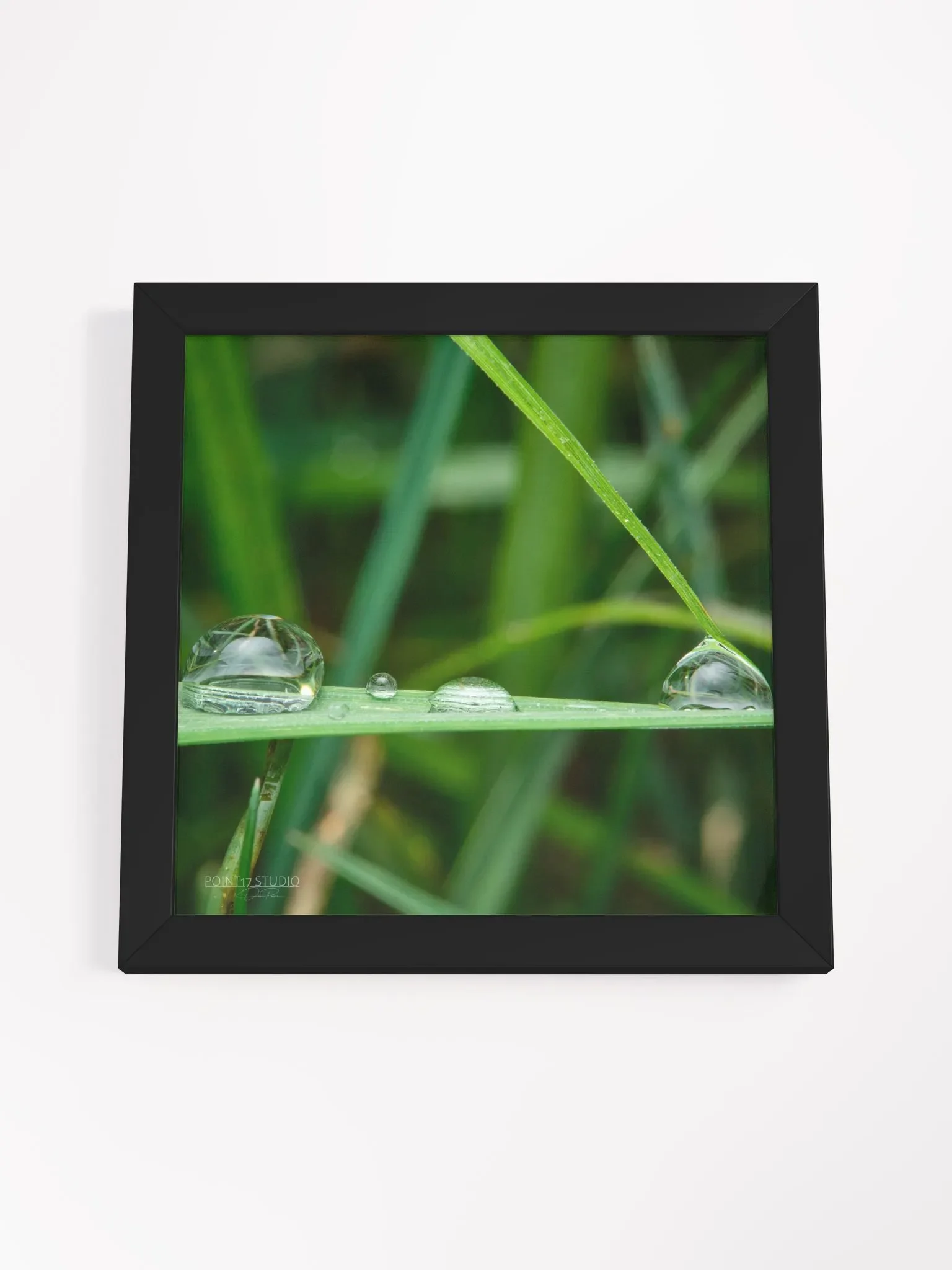 Dew Gems #12 - Framed Print product image (4)