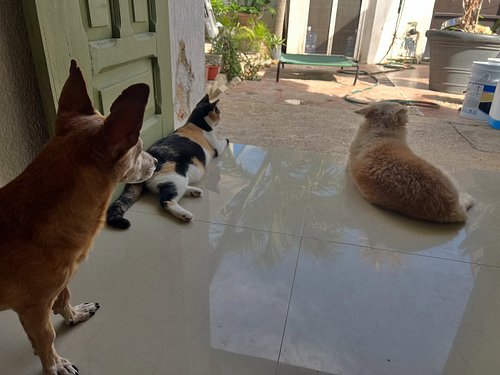 Waiting for mom. 

Have a lovely day 🤗