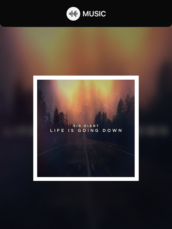 Life is Going Down product image (1)