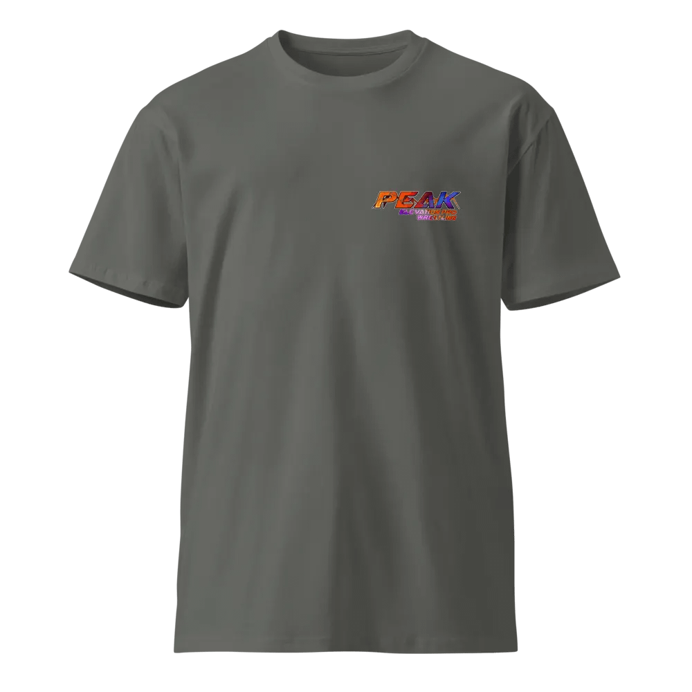 PEPW Choose Your Fighter Judah x Flynn Shirt product image (4)