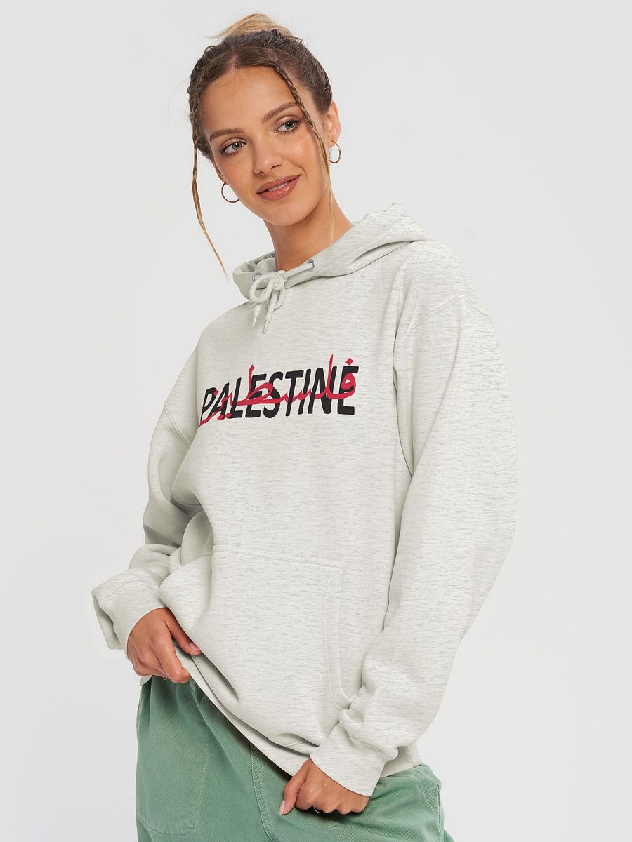 Palestine Hoodie product image (3)