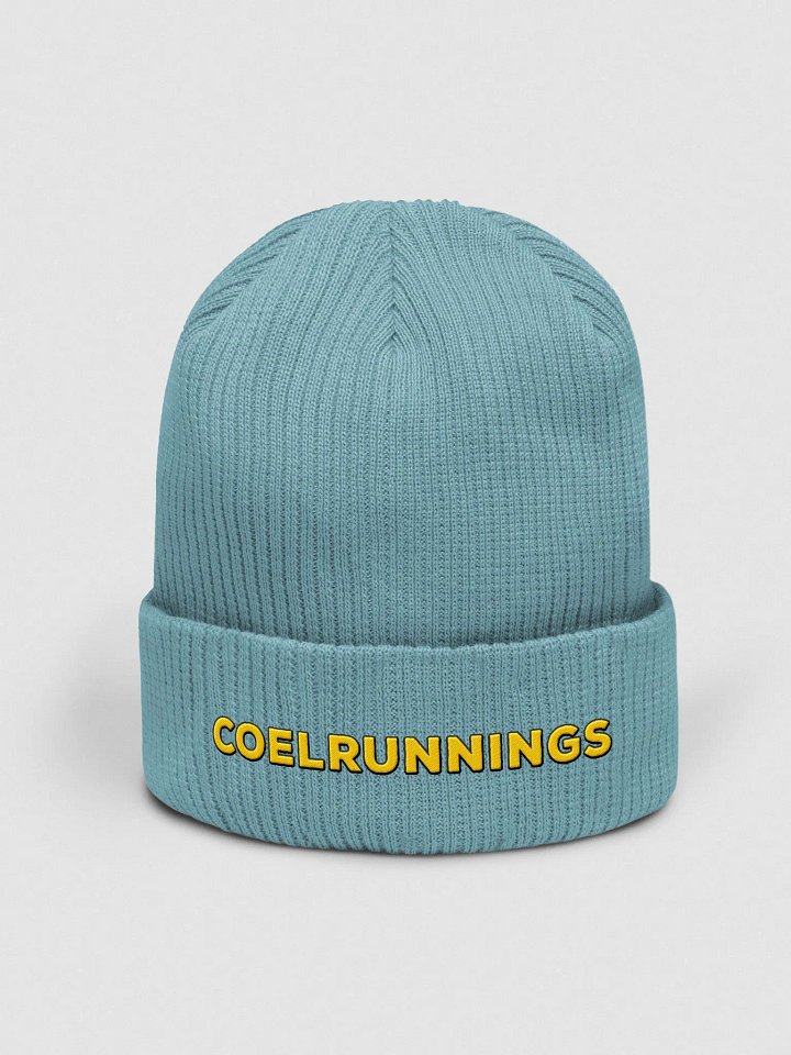 CR Large Logo Beanie product image (3)