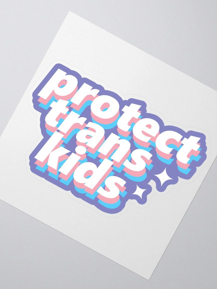 Protect Trans Kids product image (2)