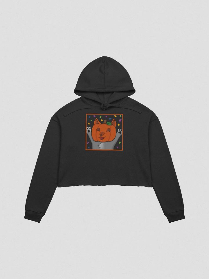 Cheer Crop Hoodie product image (1)