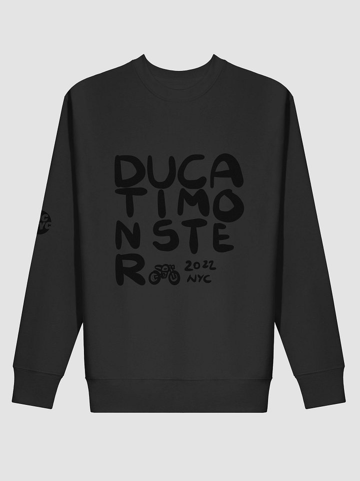 Ducati Monster product image (11)