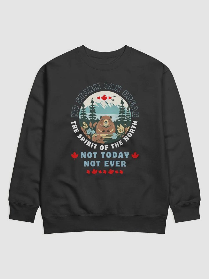Canadian Wilderness Statement Sweatshirt product image (2)