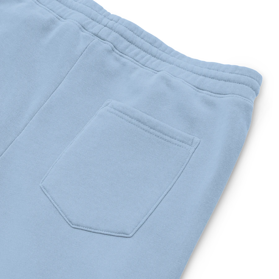 Founders Edition Colored Joggers product image (5)