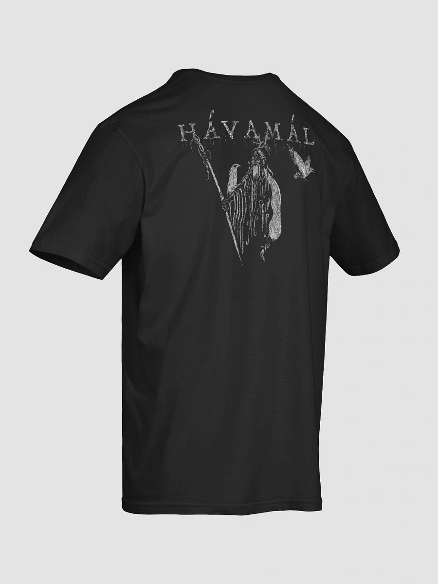 Tee shirt - Havamal in the back 2 product image (22)
